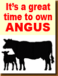Great Time to Own Angus