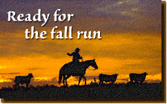 FallRun